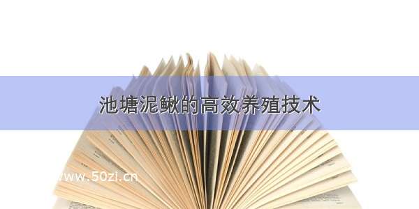 池塘泥鳅的高效养殖技术