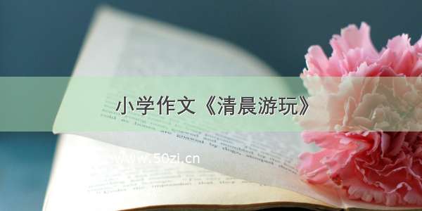 小学作文《清晨游玩》