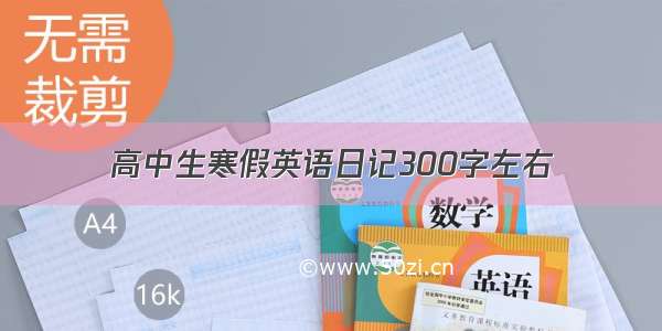 高中生寒假英语日记300字左右