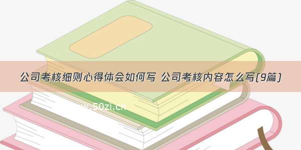 公司考核细则心得体会如何写 公司考核内容怎么写(9篇)