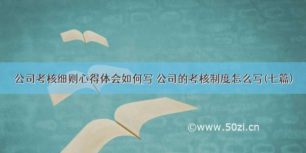 公司考核细则心得体会如何写 公司的考核制度怎么写(七篇)