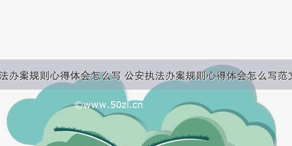 公安执法办案规则心得体会怎么写 公安执法办案规则心得体会怎么写范文(七篇)