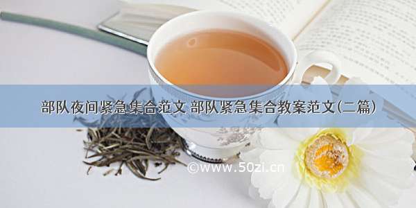 部队夜间紧急集合范文 部队紧急集合教案范文(二篇)