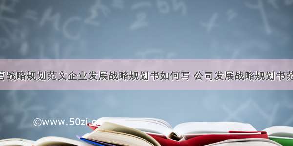 公司经营战略规划范文企业发展战略规划书如何写 公司发展战略规划书范本(4篇)