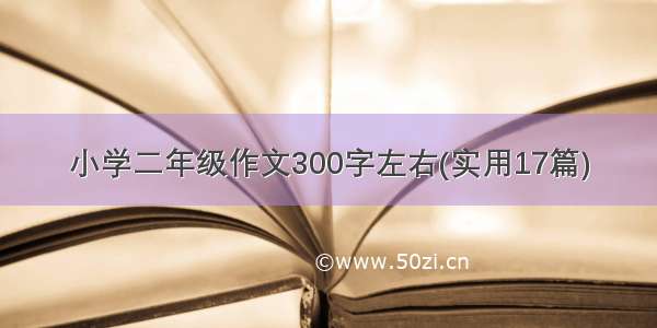 小学二年级作文300字左右(实用17篇)