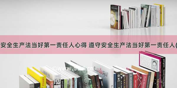 最新遵守安全生产法当好第一责任人心得 遵守安全生产法当好第一责任人(大全9篇)