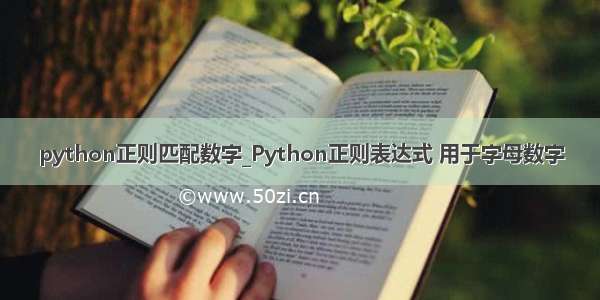 python正则匹配数字_Python正则表达式 用于字母数字