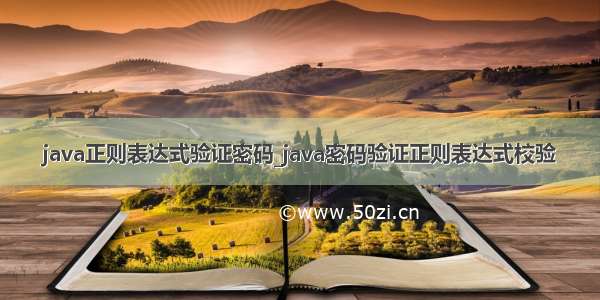 java正则表达式验证密码_java密码验证正则表达式校验