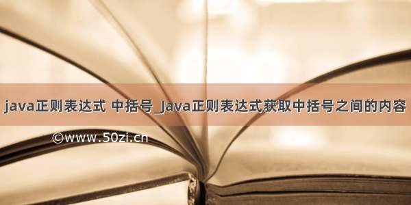 java正则表达式 中括号_Java正则表达式获取中括号之间的内容