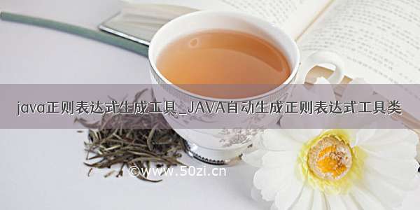 java正则表达式生成工具_JAVA自动生成正则表达式工具类