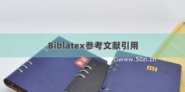 Biblatex参考文献引用