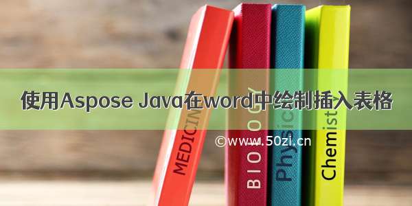 使用Aspose Java在word中绘制插入表格
