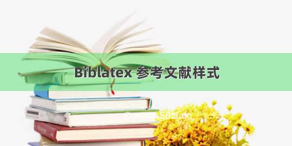 Biblatex 参考文献样式