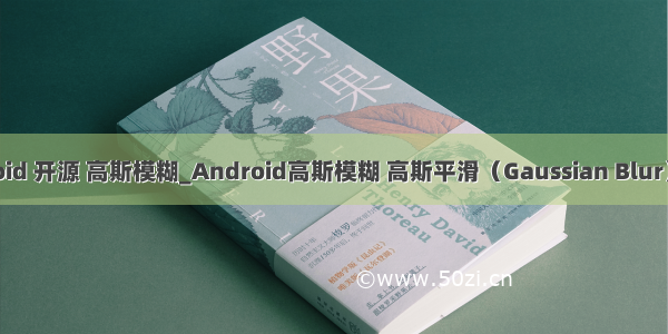 android 开源 高斯模糊_Android高斯模糊 高斯平滑（Gaussian Blur）【1】