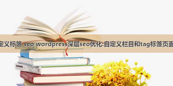 html 自定义标签 seo wordpress深层seo优化:自定义栏目和tag标签页面title标题