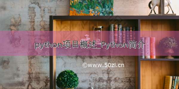python项目概述_Python简介
