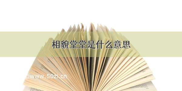 相貌堂堂是什么意思