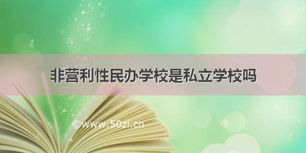 非营利性民办学校是私立学校吗