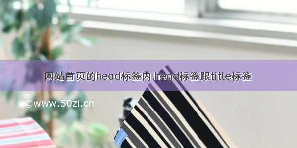 网站首页的head标签内 head标签跟title标签