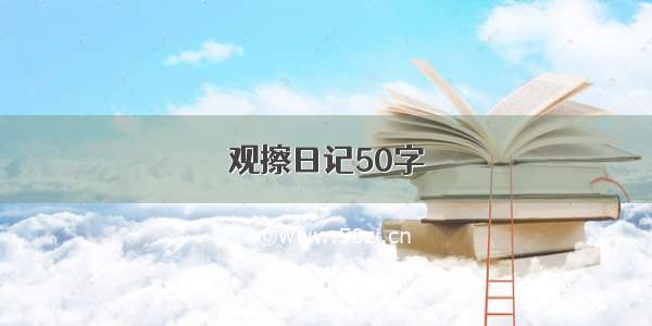 观擦日记50字