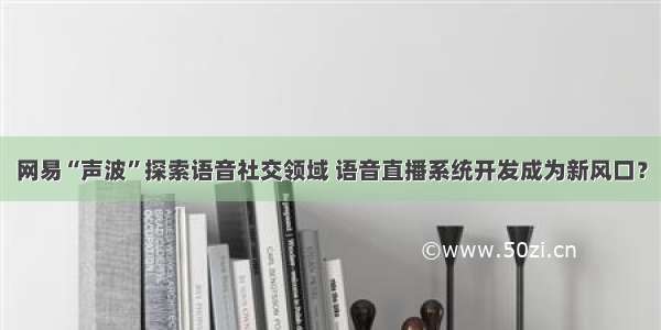 网易“声波”探索语音社交领域 语音直播系统开发成为新风口？