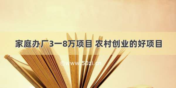 家庭办厂3一8万项目 农村创业的好项目