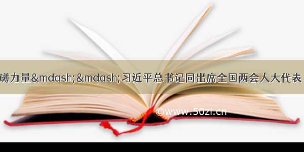 从人民中汲取磅礴力量——习近平总书记同出席全国两会人大代表 政协委员共商国