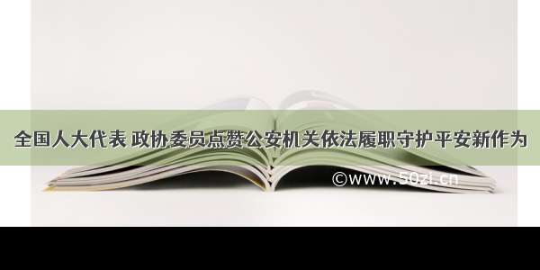 全国人大代表 政协委员点赞公安机关依法履职守护平安新作为