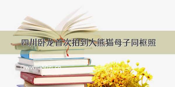 四川卧龙首次拍到大熊猫母子同框照