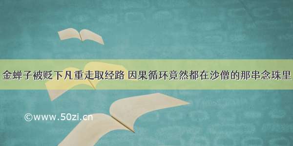 金蝉子被贬下凡重走取经路 因果循环竟然都在沙僧的那串念珠里