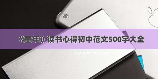 《童年》读书心得初中范文500字大全