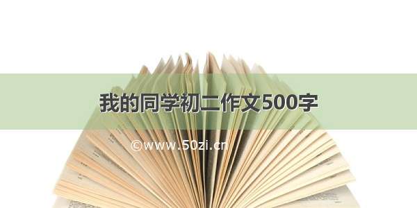 我的同学初二作文500字