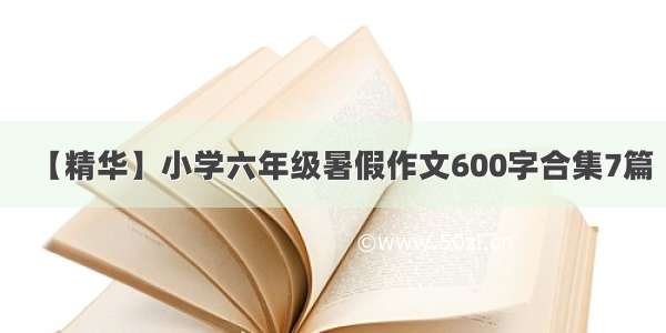 【精华】小学六年级暑假作文600字合集7篇