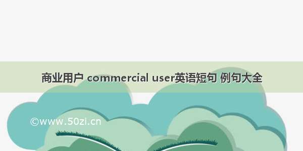 商业用户 commercial user英语短句 例句大全