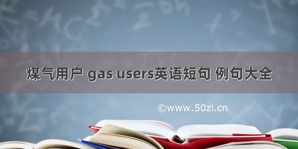 煤气用户 gas users英语短句 例句大全