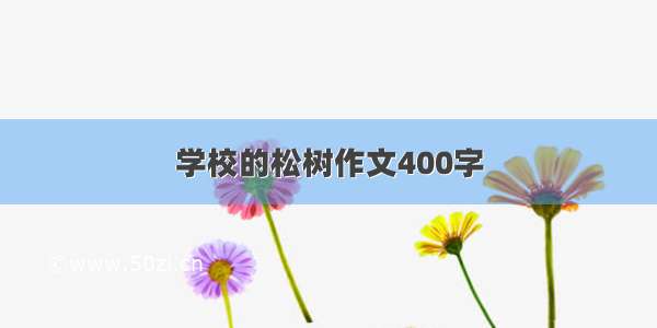 学校的松树作文400字