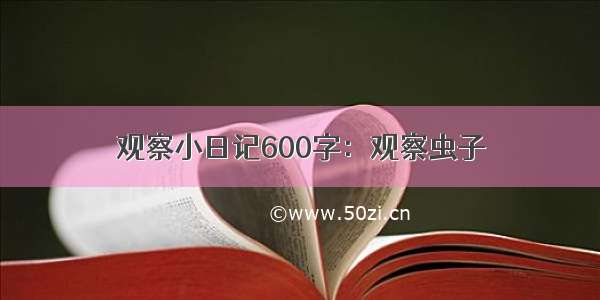 观察小日记600字：观察虫子