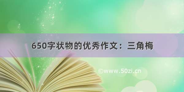 650字状物的优秀作文：三角梅