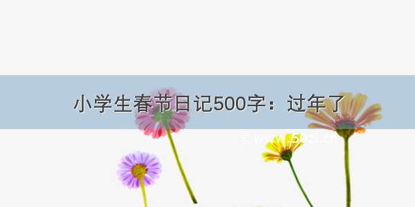 小学生春节日记500字：过年了