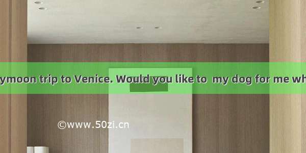 We’ll take a honeymoon trip to Venice. Would you like to  my dog for me while we’re away?A