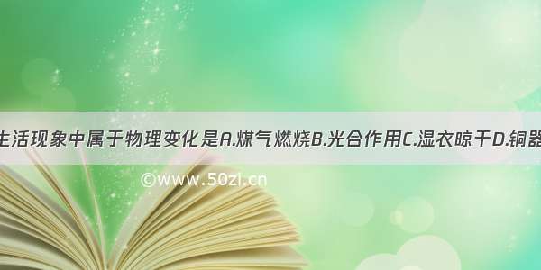 常见生活现象中属于物理变化是A.煤气燃烧B.光合作用C.湿衣晾干D.铜器生锈