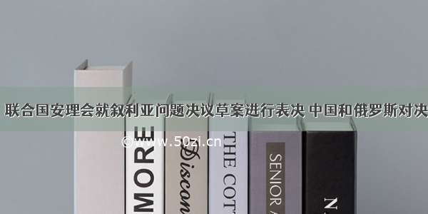 2月４日 联合国安理会就叙利亚问题决议草案进行表决 中国和俄罗斯对决议草案