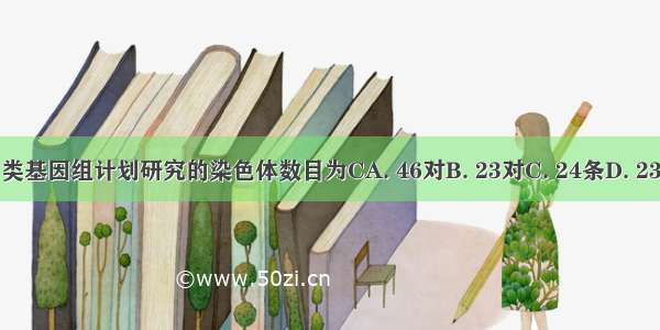 人类基因组计划研究的染色体数目为CA. 46对B. 23对C. 24条D. 23条