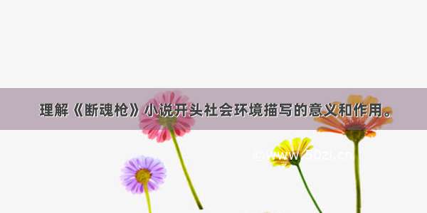 理解《断魂枪》小说开头社会环境描写的意义和作用。